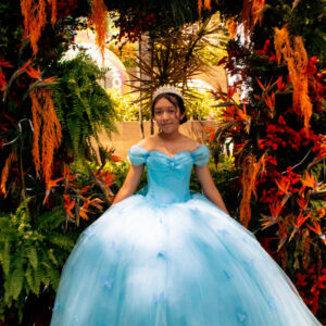 VESTIDO XV CENICIENTA